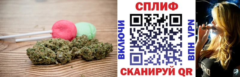 Canna-Cookies марихуана Купить где Кольчугино