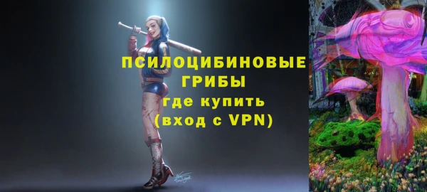 МДПВ Дмитров