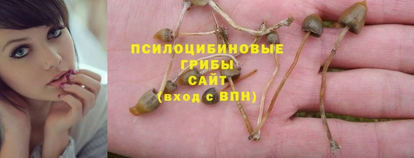 МДПВ Дмитров