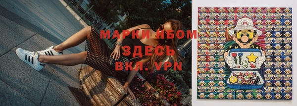 apvp Дмитриев