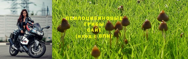 apvp Дмитриев