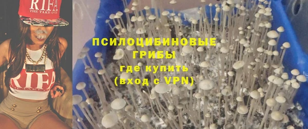 apvp Дмитриев