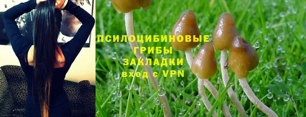МДПВ Дмитров