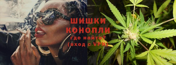 МДПВ Дмитров