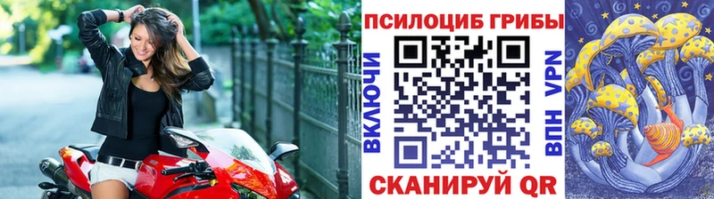 Купить где  Кольчугино  Псилоцибиновые грибы ЛСД 